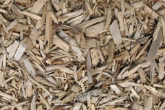 biomass boilers Trefenter